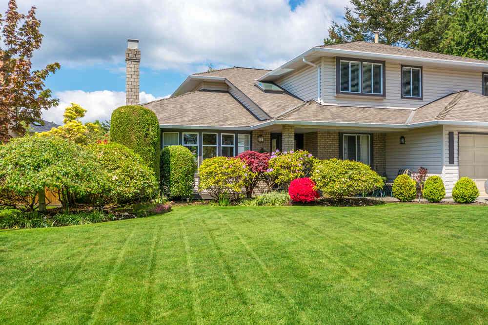 Clean, freshly mowed front yard